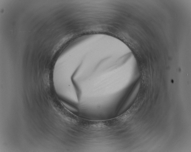 X0000074210112200609081541