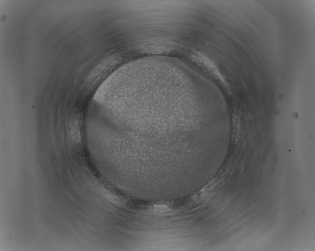 X0000074210114200609081541