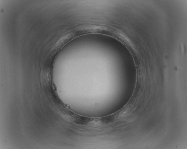 X0000074210119200609081541