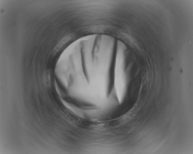 X0000074210120200609081541