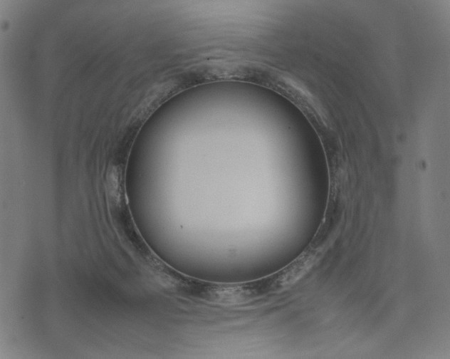 X0000074210121200609081540