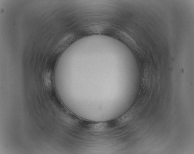 X0000074210122200609081540