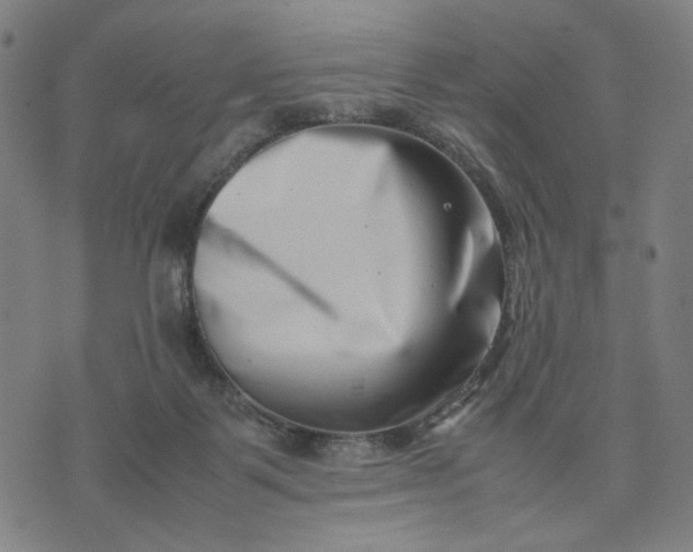 X0000074210123200609081540