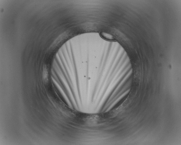 X0000074210124200609081540