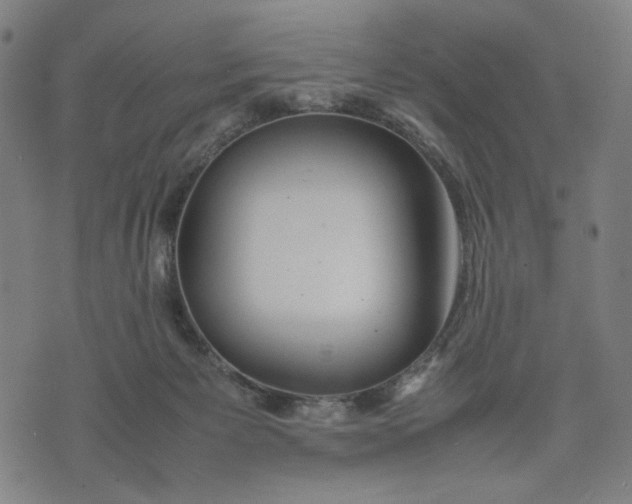 X0000074210125200609081540