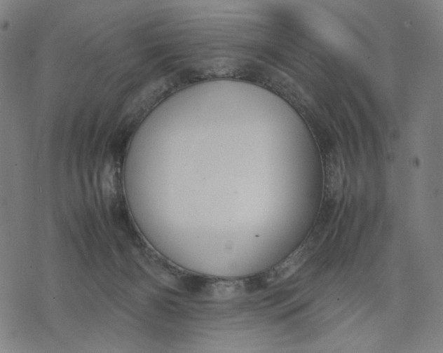 X0000074210126200609081540