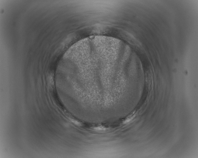 X0000074210127200609081540