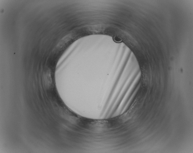 X0000074210128200609081540