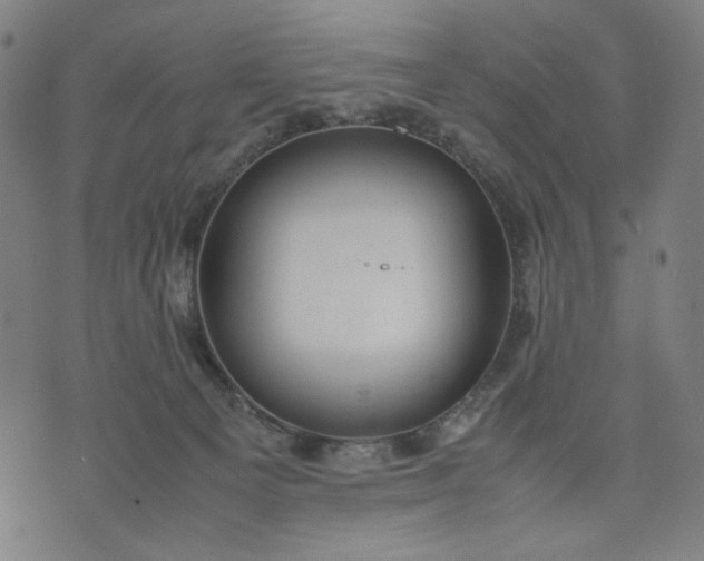 X0000074210129200609081540