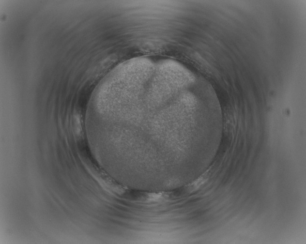 X0000074210130200609081540