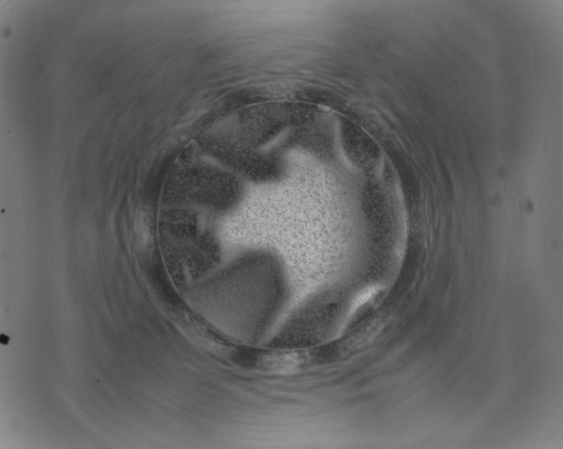 X0000074210131200609081540