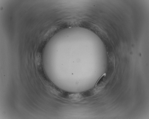 X0000074210133200609081540