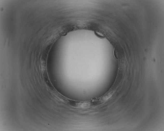 X0000074210135200609081540