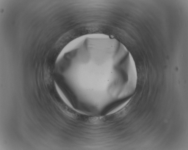 X0000074210136200609081540