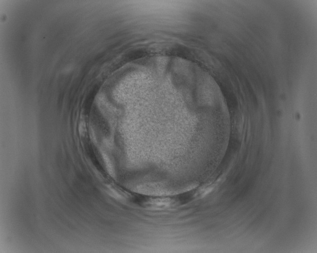 X0000074210137200609081540