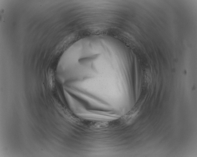 X0000074210138200609081540