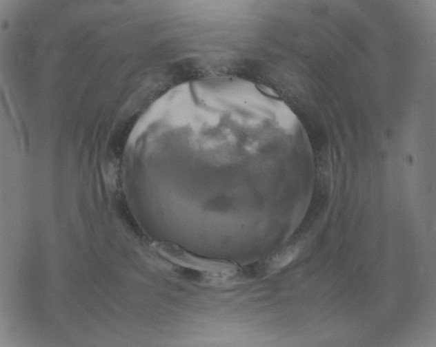 X0000074210139200609081540