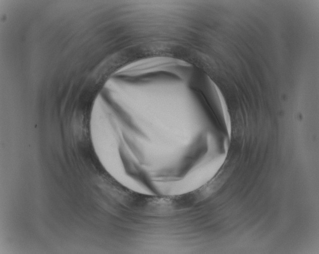 X0000074210140200609081540