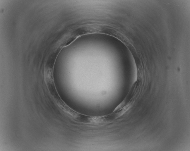 X0000074210141200609081540