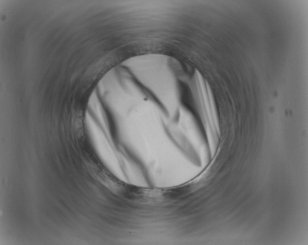 X0000074210144200609081540