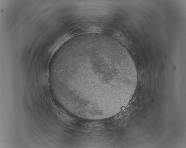 X0000074210146200609081539