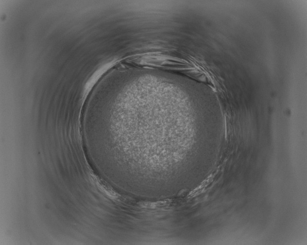 X0000074210147200609081539