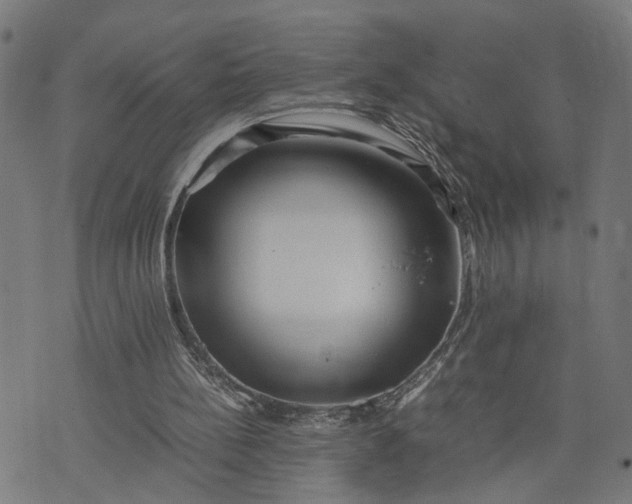 X0000074210148200609081539