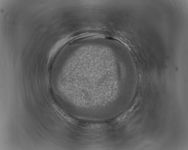 X0000074210149200609081539