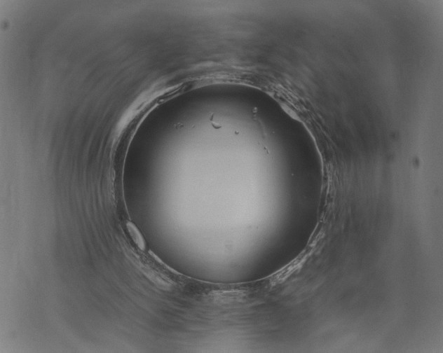 X0000074210150200609081539