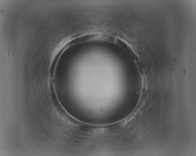 X0000074210152200609081539