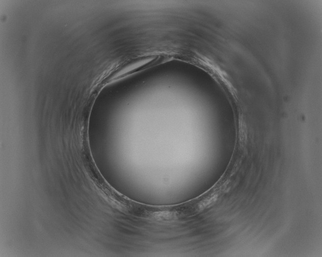 X0000074210153200609081539