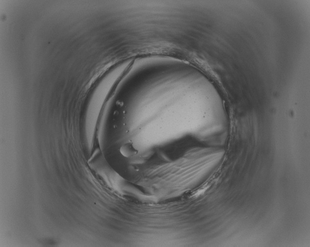 X0000074210154200609081539