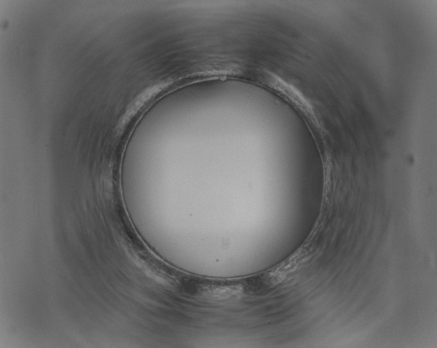 X0000074210155200609081540