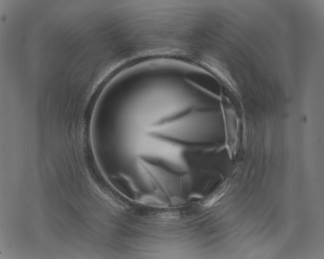 X0000074210156200609081540