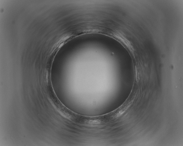 X0000074210157200609081540