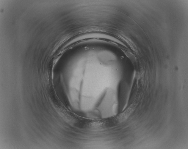 X0000074210158200609081540