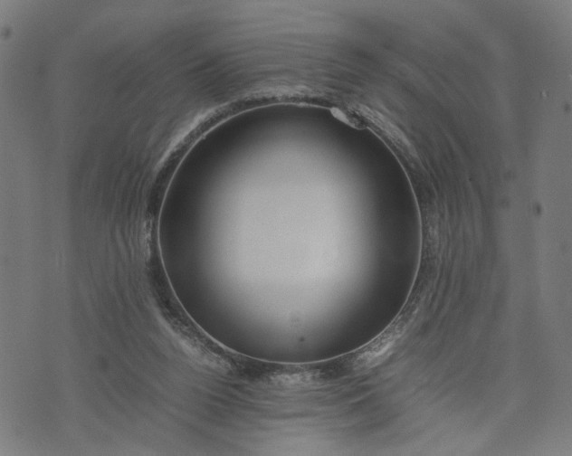 X0000074210160200609081540