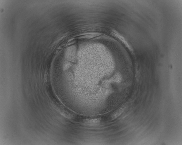 X0000074210161200609081540