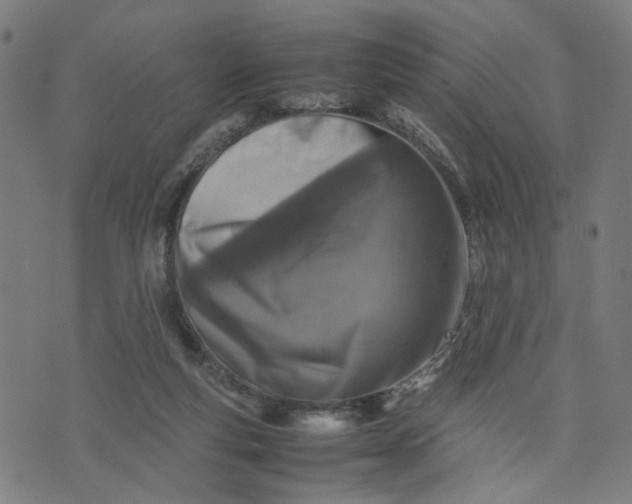 X0000074210163200609081540