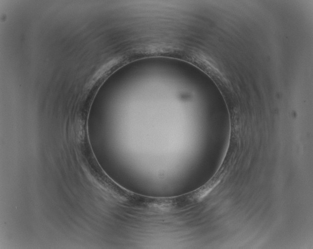 X0000074210164200609081540