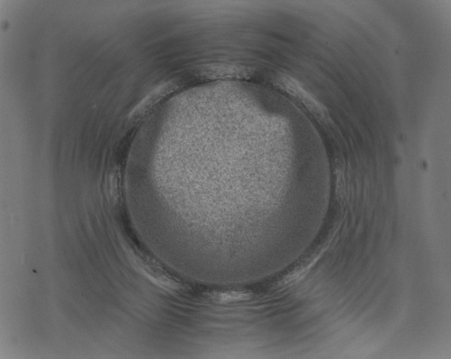 X0000074210165200609081540