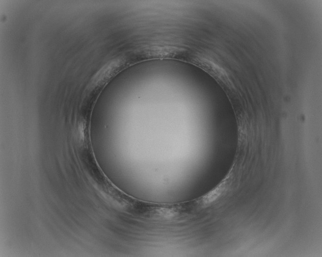 X0000074210166200609081540