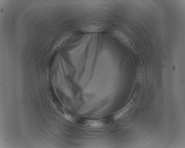 X0000074210167200609081540