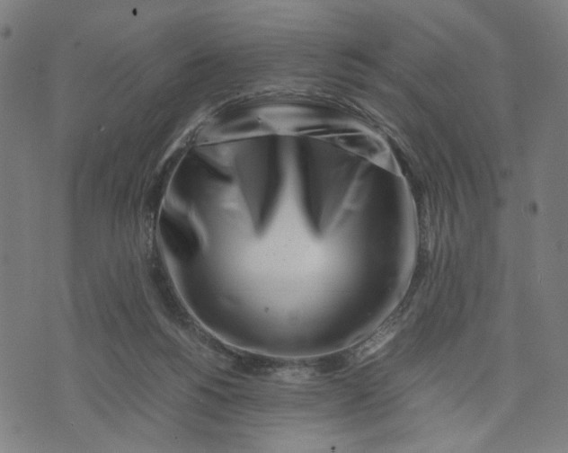 X0000074210168200609081540