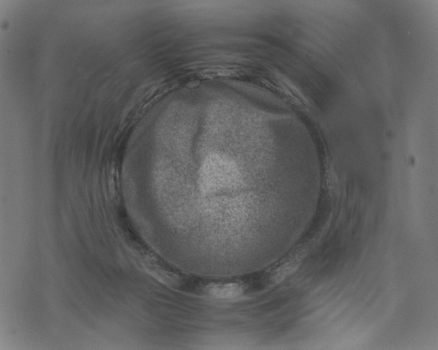 X0000074210169200609081540