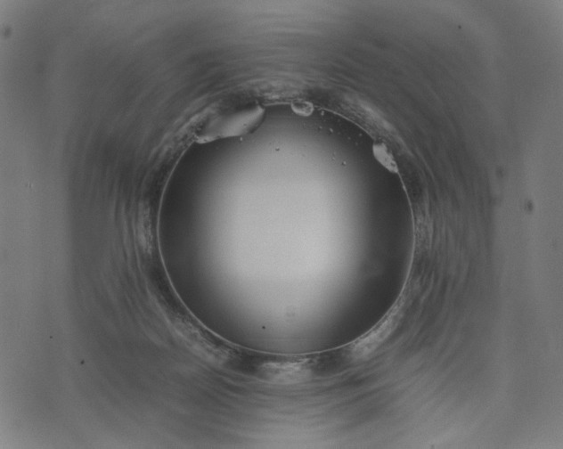 X0000074210170200609081540