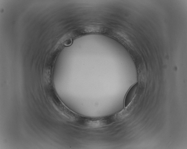 X0000074210171200609081540