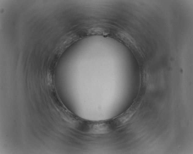 X0000074210173200609081540