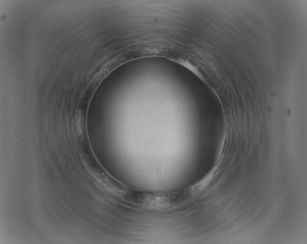 X0000074210174200609081540