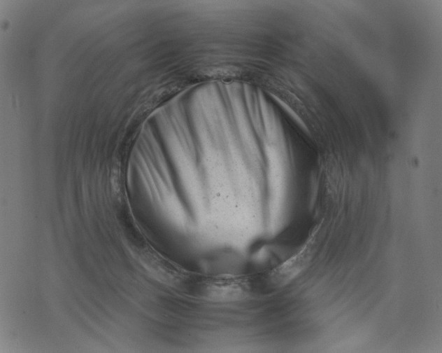 X0000074210175200609081540